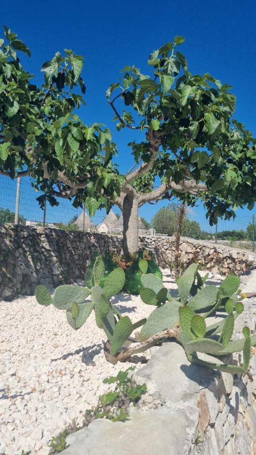 Villa I Trulli Dei Nonni Evelin Martina Franca Exterior foto
